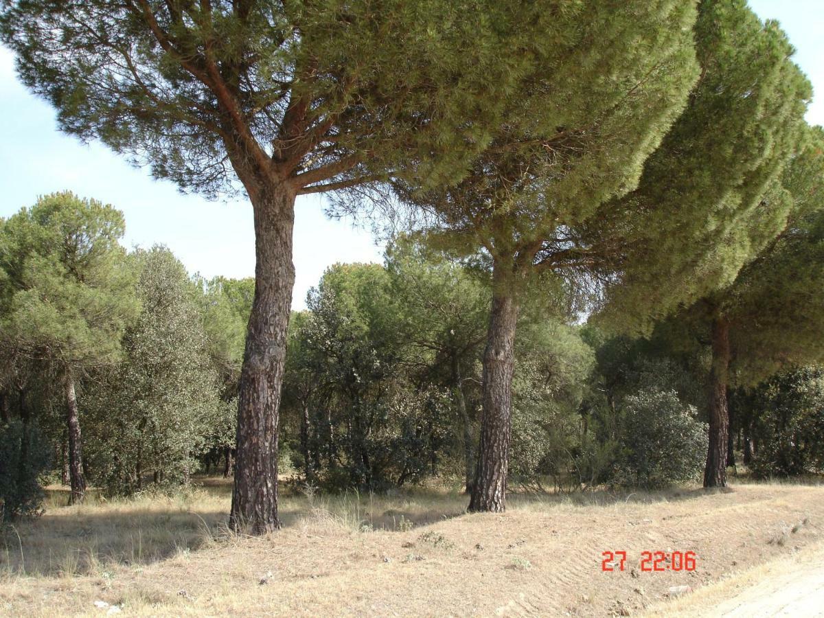 Casa Ana *